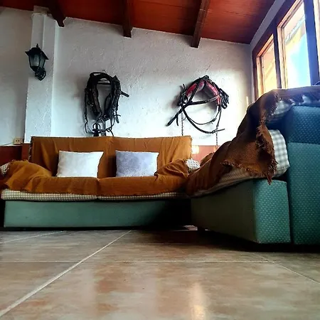 Casa Deltanatura, Alta Capacidad Con Piscina, Cerca Playa Y Al Lado Rio *